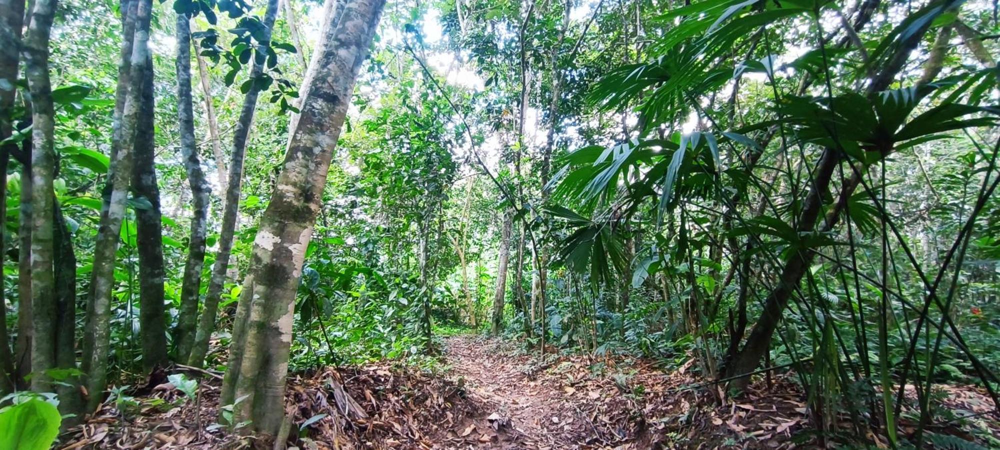 Hotel Ecologico Makalombia La Macarena Extérieur photo