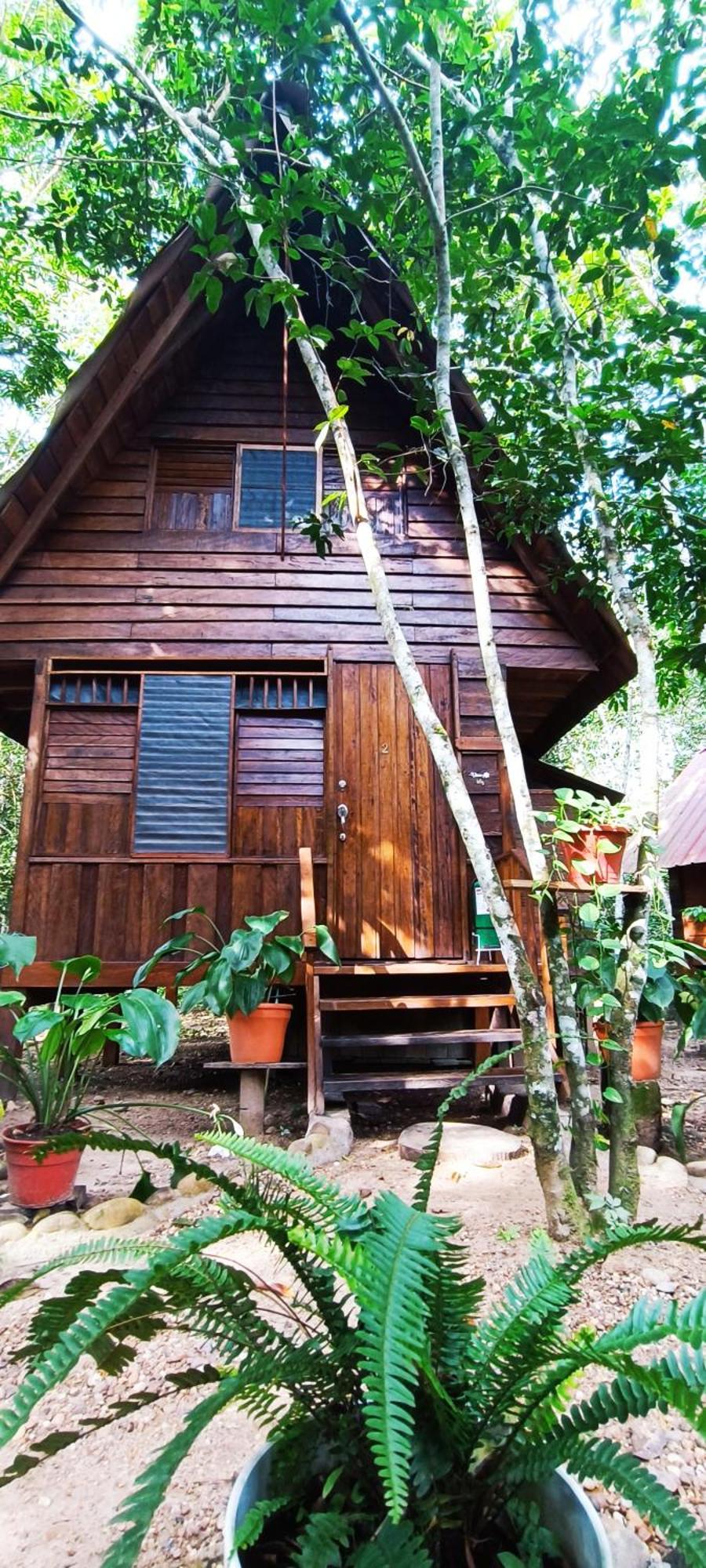 Hotel Ecologico Makalombia La Macarena Extérieur photo