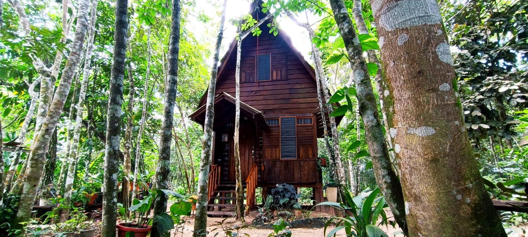 Hotel Ecologico Makalombia La Macarena Extérieur photo
